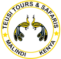 teusi logo removebg preview