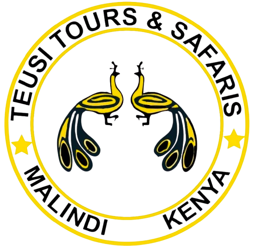 teusi logo removebg preview