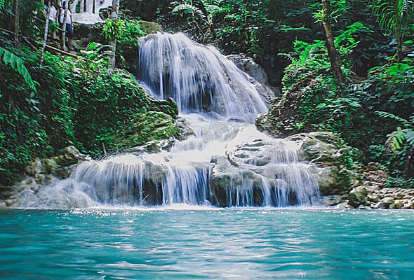 img 09 free img.jpg